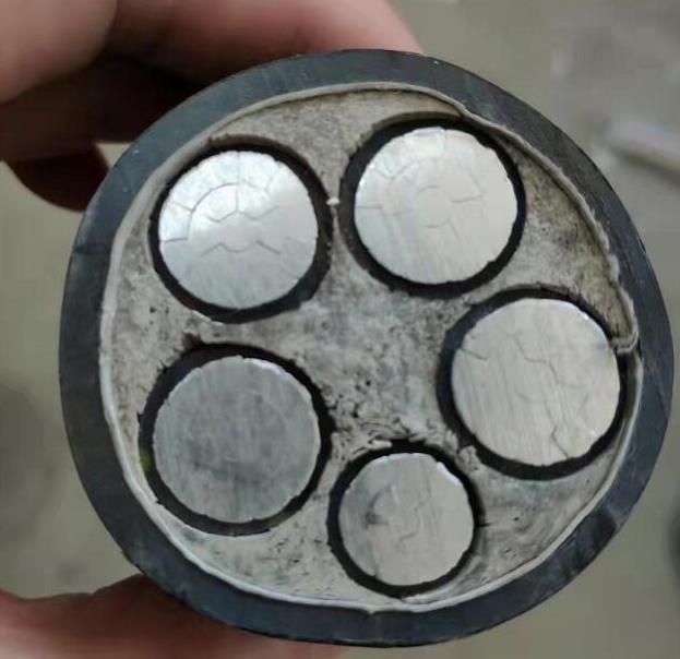 金陽光電線電纜質量檢測及解決辦法是什么.jpg